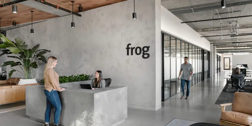 Frog Hero Image