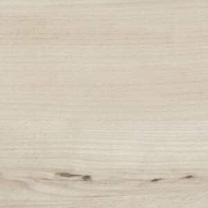 White Elm
