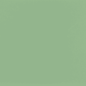 Sencha