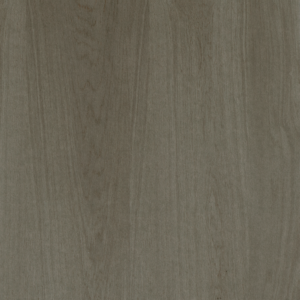 Weathered Slate