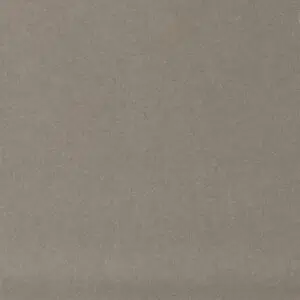 <B>Mushroom (NEW)</B>