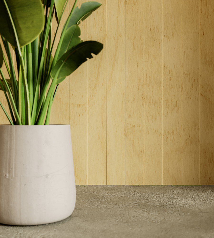 QuietForm, Pathway Wall Panels | Baltic Birch | WoodGrain Collection