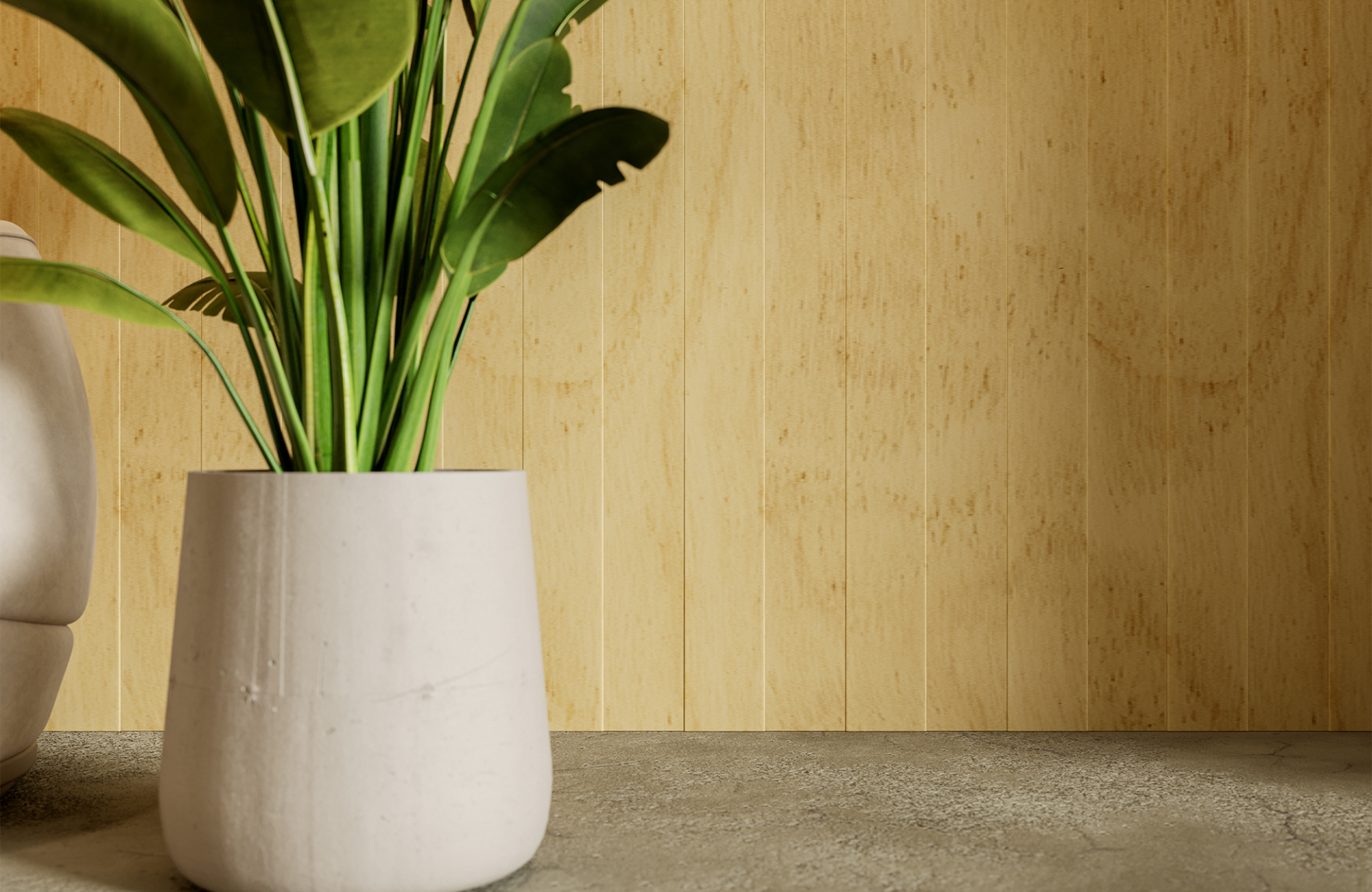 QuietForm, Pathway Wall Panels | Baltic Birch | WoodGrain Collection