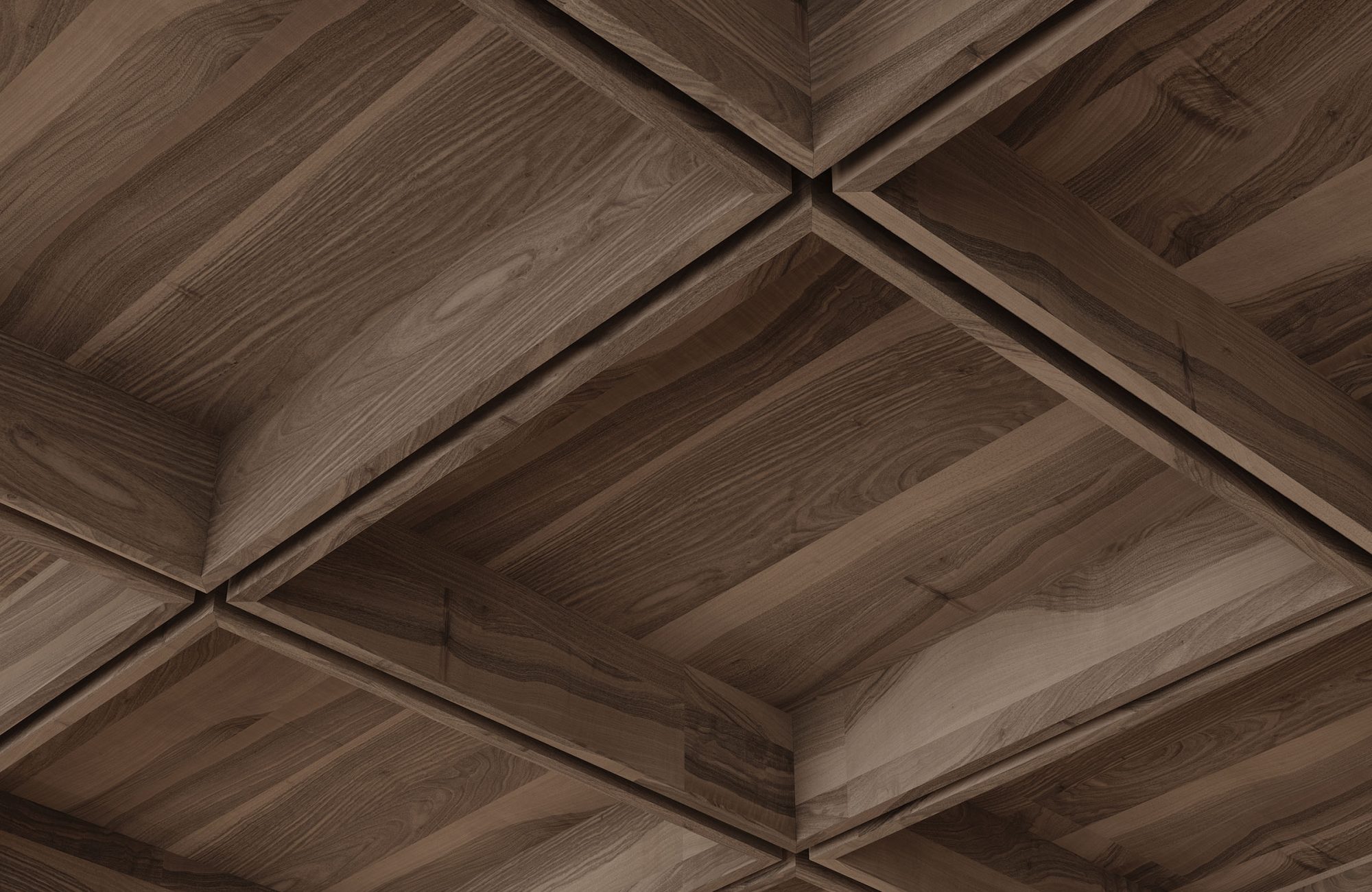 Recess, Waffle Ceiling Frames | Black Walnut | WoodGrain Collection