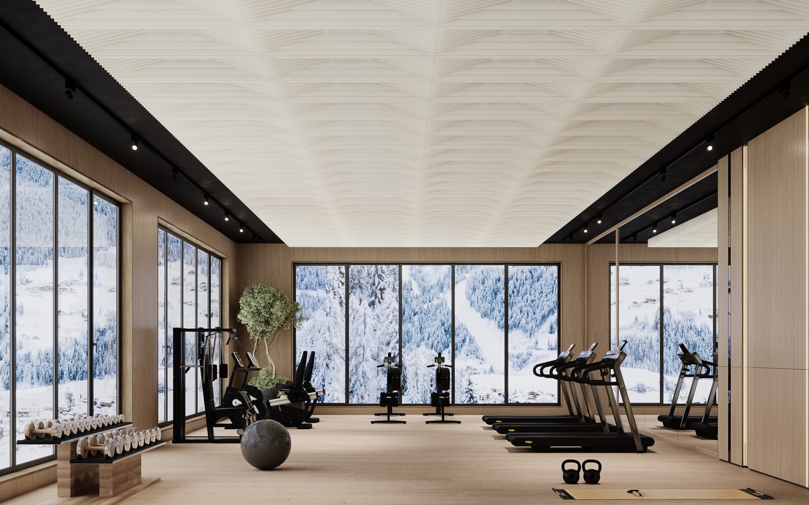 Rail, Platform Ceiling Frames | White | Premier Collection