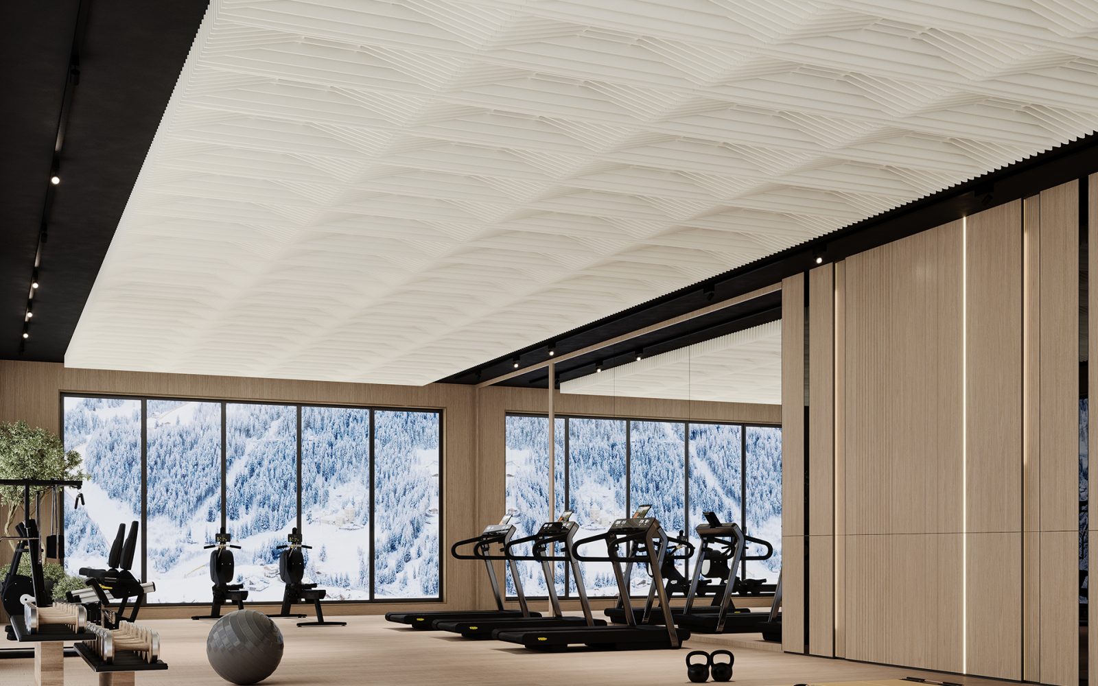 Rail, Platform Ceiling Frames | White | Premier Collection