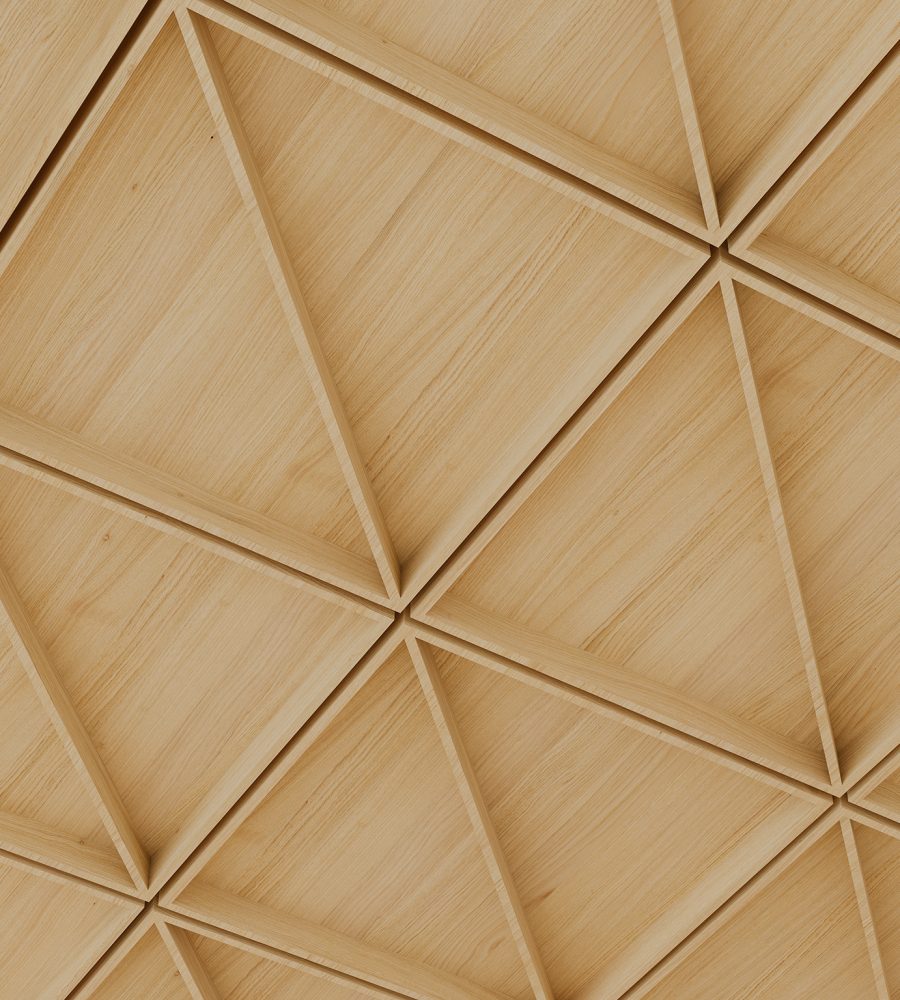 Recess, Cleft Ceiling Frames | Natural Oak | WoodGrain Collection