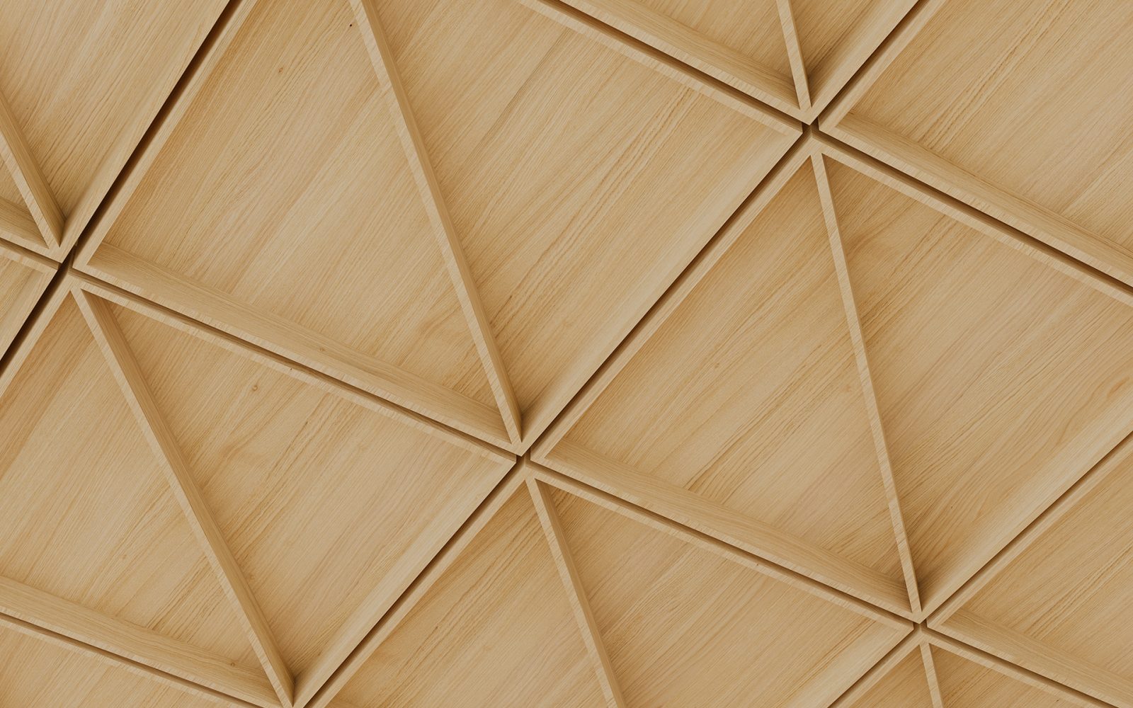 Recess, Cleft Ceiling Frames | Natural Oak | WoodGrain Collection
