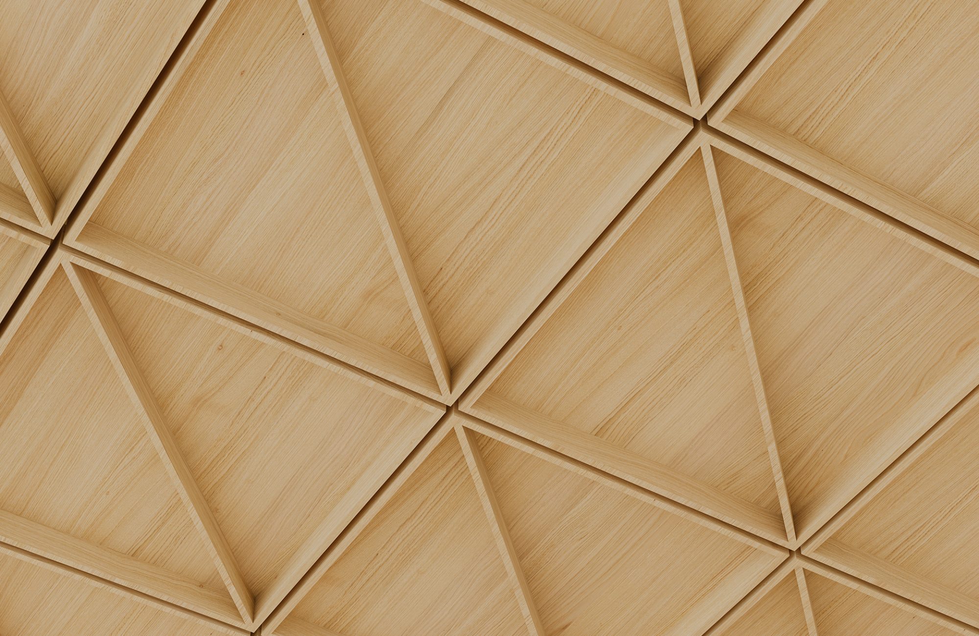 Recess, Cleft Ceiling Frames | Natural Oak | WoodGrain Collection