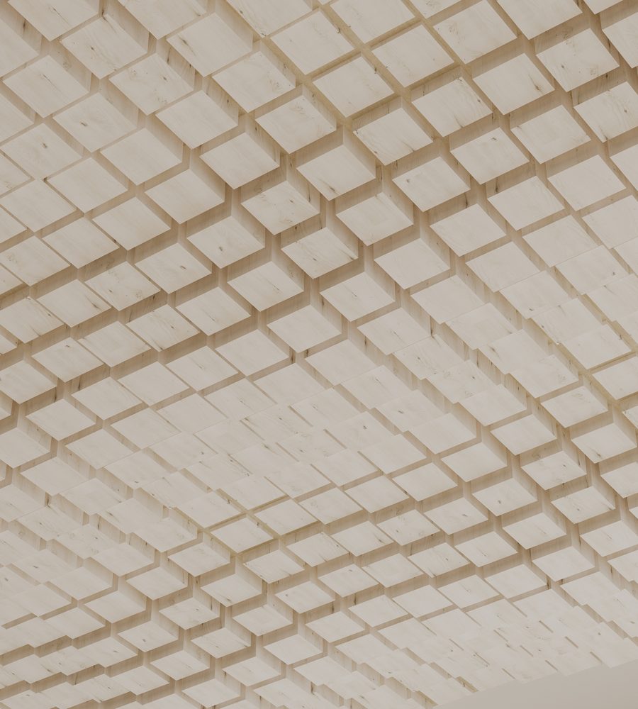 Vista, Oceanic Ceiling Frames | White Elm | WoodGrain Collection