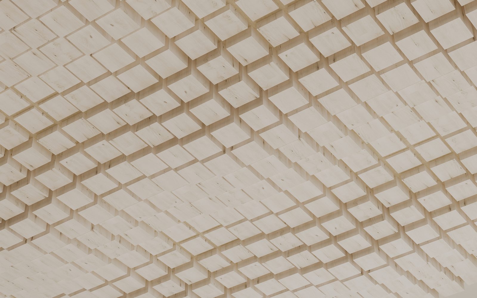 Vista, Oceanic Ceiling Frames | White Elm | WoodGrain Collection