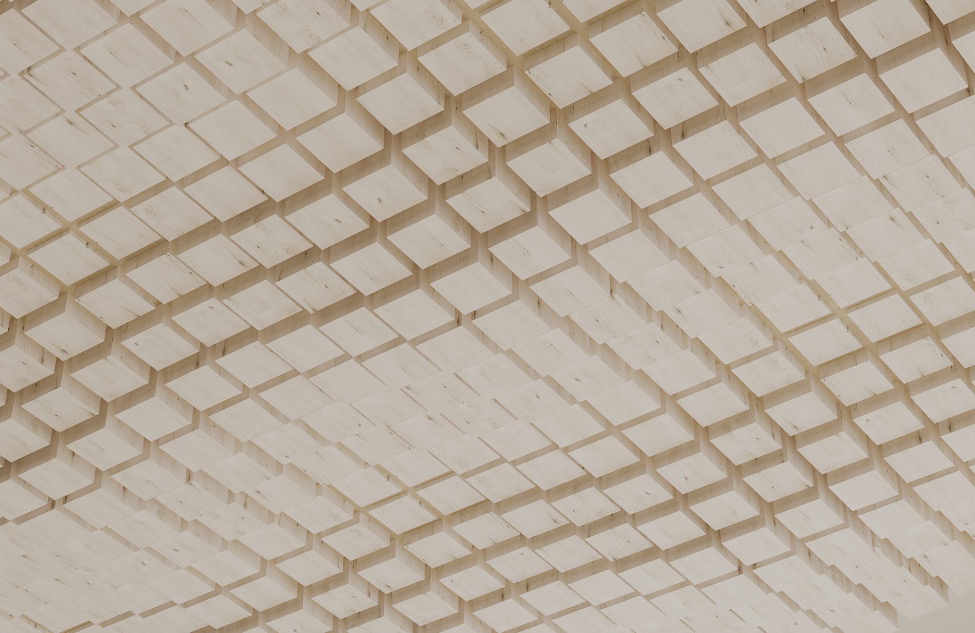 Vista, Oceanic Ceiling Frames | White Elm | WoodGrain Collection
