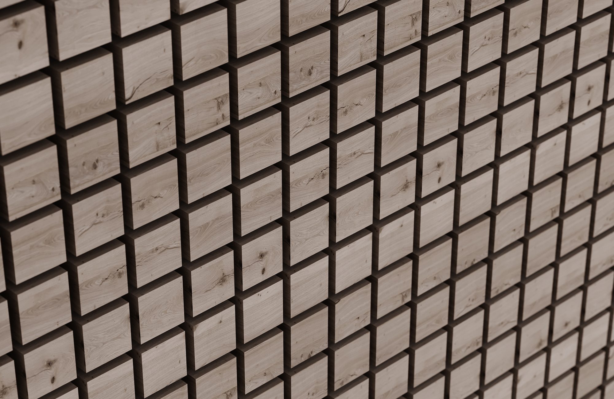 Vista Wall Tiles, Desert | Shadow Oak, Piano Black | WoodGrain, Premier Collections