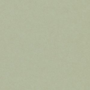 FilaSorb-Celery-CE65