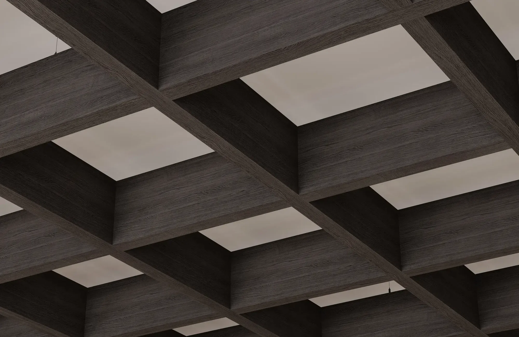 Framework Open Ceiling Grids | Charred Larch | WoodGrain Collection