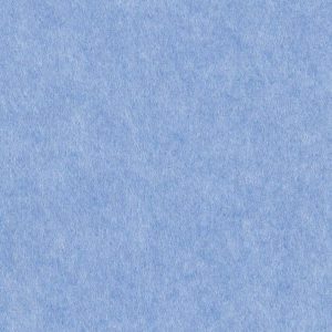 Periwinkle