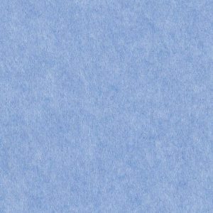 Periwinkle