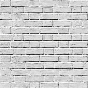 Masonry Brick White