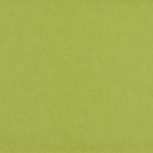 Wasabi