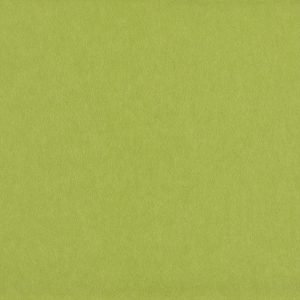 Wasabi