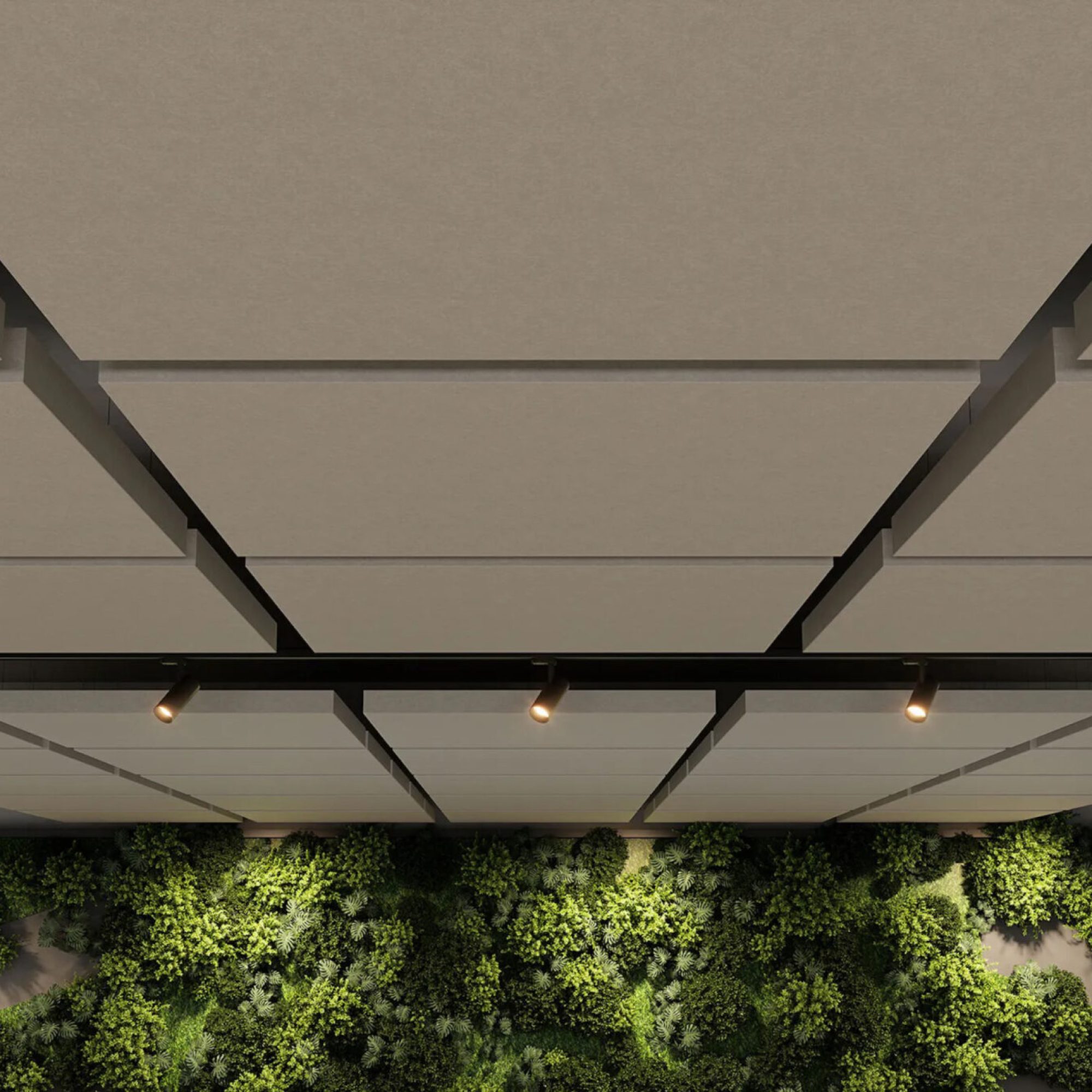 Website images_slider_Canopy